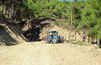 Boyabat'ta Kültür Yolu çalışmalarına başlandı
