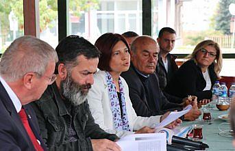 CHP Parti Meclisi Üyesi Emecan: