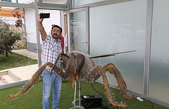 Dev arı modeli görenleri şaşırtıyor