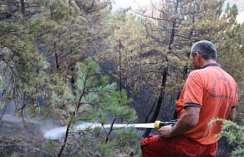 GÜNCELLEME - Bolu'da orman yangını