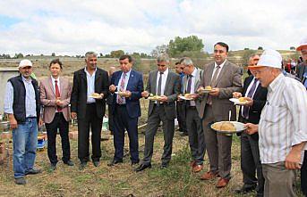 Havza'da patates hasadı tarla günü düzenlendi