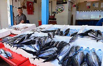 Karadeniz'de balık sezonunun ilk haftası verimli geçti