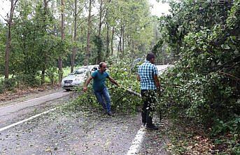 Kastamonu'da sağanak ve kuvvetli rüzgar
