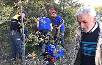 Kurtlardan kaçarken uçurumdan atlayan 40 koyun telef oldu