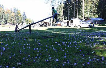 Mudurnu'da yayla turizmine yoğun ilgi