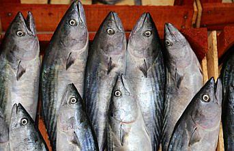 Olumsuz hava balık fiyatlarını artırdı