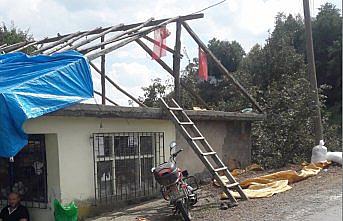 Ordu'da fındık hırsızlığı iddiası