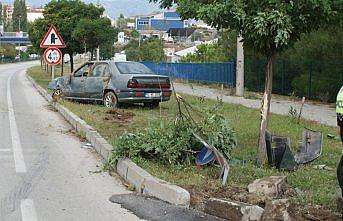 Otomobille köpeğe çarpan sürücü yaralandı