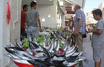 Palamut balıkçıları sevindirdi