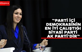 "Parti içi demokrasinin en iyi çalıştığı siyasi parti AK Parti'dir"