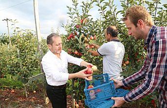 Rektör Yarılgaç, elma hasatına katıldı