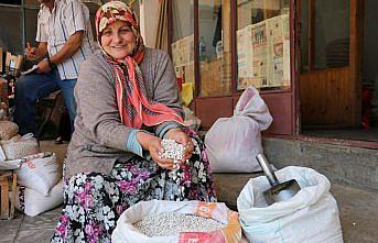 Tescilli Akkuş fasulyesinde rekolte artışı bekleniyor