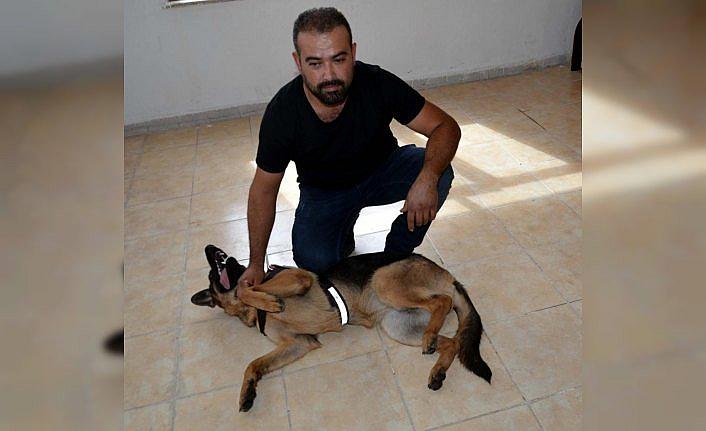 Yaralı haldeki köpeğin 112'ye sığınması