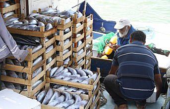 14 metrelik tekneden 8 bin palamut çıktı