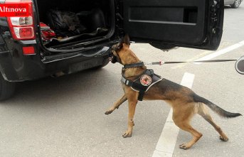 9 ayda 2 milyar 834 milyon lira değerinde uyuşturucu ele geçirildi