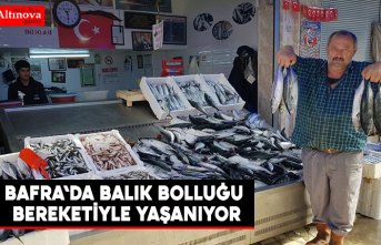 BAFRA'DA BALIK BOLLUĞU BEREKETİYLE YAŞANIYOR
