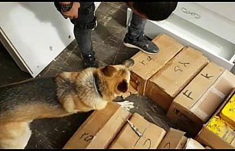 Bal tenekeleri içerisinde 176 kilogram eroin ele geçirildi