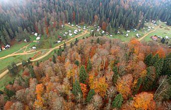 Batı Karadeniz yaylalarında 