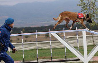 Bolu Belediyesi Hayvan Hastanesi açıldı