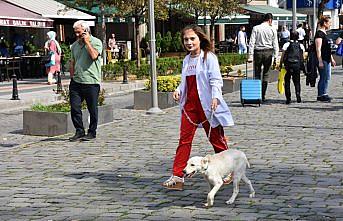 Dünya Hayvan Hakları Günü