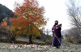 Görsel şölen sunan doğada kış hazırlığı sürüyor