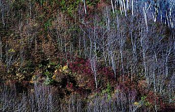 Karçal Dağları'nda sonbahar güzelliği