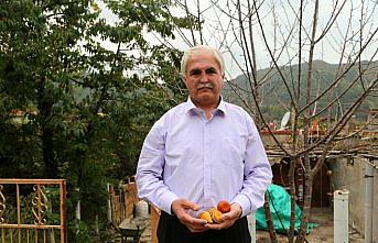 Köyünden 15 yıl sonra Afrinli çocuklar için çıktı