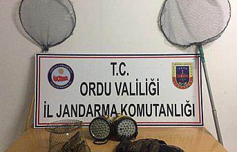Ordu'da kaçak avlananlara ceza