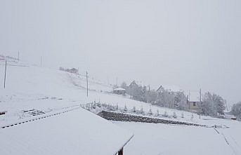 Ordu'da kar yağışı