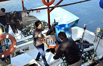 Palamut balıkçıların yüzünü güldürdü