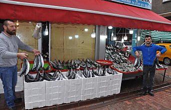 Palamut bolluğu balıkçıları sevindirdi