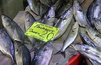 Palamut sezonunun sonunda fiyatlar yükseldi