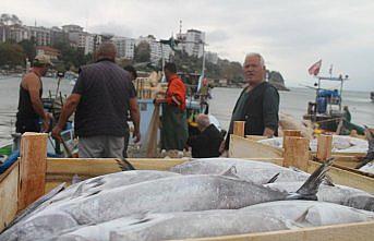 Palamut yüzleri güldürdü