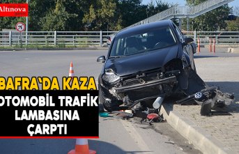 Trafik lambası direğine çarptı