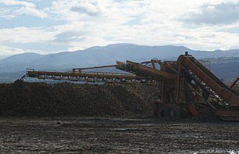 Vezirköprü'den Amasya Şeker Fabrikası'na pancar sevkiyatı