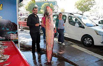 Yeşilırmak'ta 2 metrelik yayın balığı yakalandı