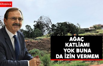 ZİHNİ ŞAHİN:   AĞAÇ KATLİAMI YOK BUNA DA İZİN VERMEM