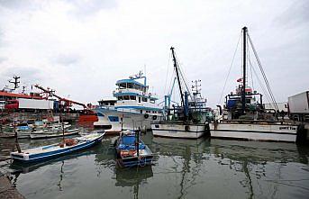 Akçakoca'da hamsi bolluğu