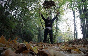 Akçakoca’da sonbahardan kalma güzellik yaşanıyor