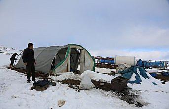 Bayburt'ta mahsur kalan 4 çoban kurtarıldı