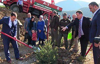 Borçka'da fidan dikimi