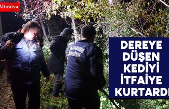 Dereye düşen kediyi itfaiye kurtardı