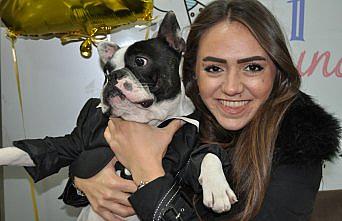 Farkındalık için köpeğine 