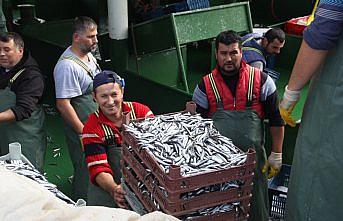 Hamsi bollaştı balık fiyatları düştü