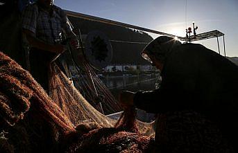 Hava soğudu palamudun Karadeniz'den göçü hızlandı