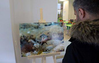 Karadeniz'in derinliklerindeki yaşam fotoğraf karelerinde