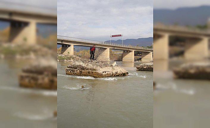 Kelkit Çayı'nda mahsur kalan köpeği AFAD ekibi kurtardı