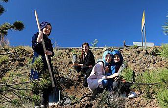 KYK'da kalan öğrenciler fidan dikti