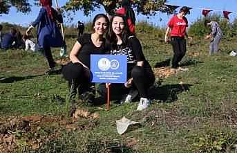 KYK'lı öğrenciler fidan dikti