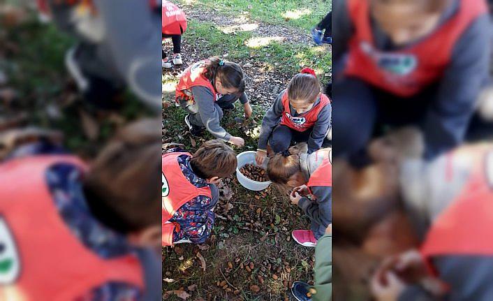 Öğrenciler meşe palamutu topladı